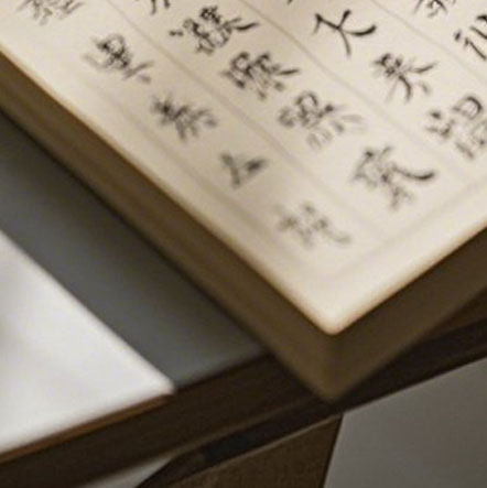 《萌宠的奇妙命名世界》