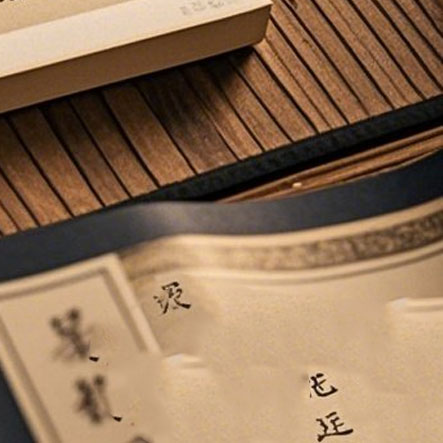 精彩项目计划名称大赏