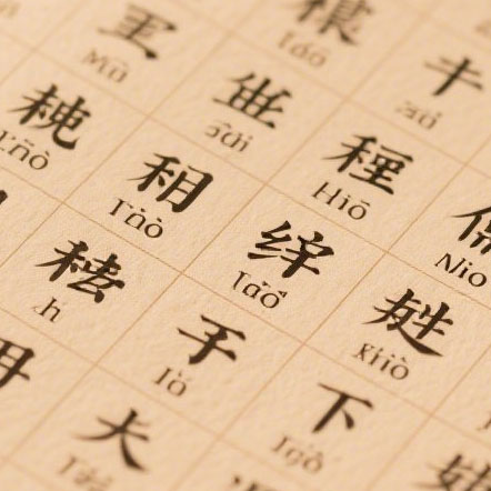 探索虚拟加密世界的独特命名