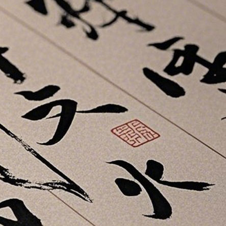宠物名字大赏